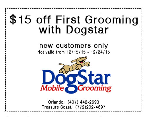 dogstar mobile grooming